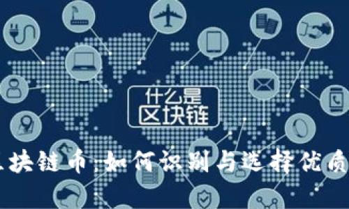 真正的区块链币：如何识别与选择优质数字货币